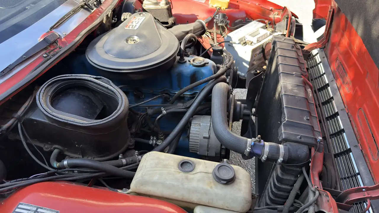 American Pacer X, foto 7