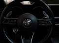 Alfa Romeo Stelvio Stelvio 2020 2.2 t Veloce Q4 210cv auto Rood - thumbnail 13