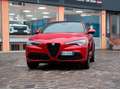 Alfa Romeo Stelvio Stelvio 2020 2.2 t Veloce Q4 210cv auto Rood - thumbnail 1