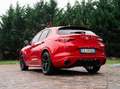 Alfa Romeo Stelvio Stelvio 2020 2.2 t Veloce Q4 210cv auto Rojo - thumbnail 6