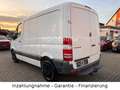Mercedes-Benz Sprinter II Kasten 210 CDI, Reifen + Tüv neu! Weiß - thumbnail 4