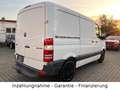 Mercedes-Benz Sprinter II Kasten 210 CDI, Reifen + Tüv neu! Weiß - thumbnail 3
