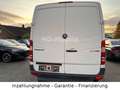 Mercedes-Benz Sprinter II Kasten 210 CDI, Reifen + Tüv neu! Weiß - thumbnail 15