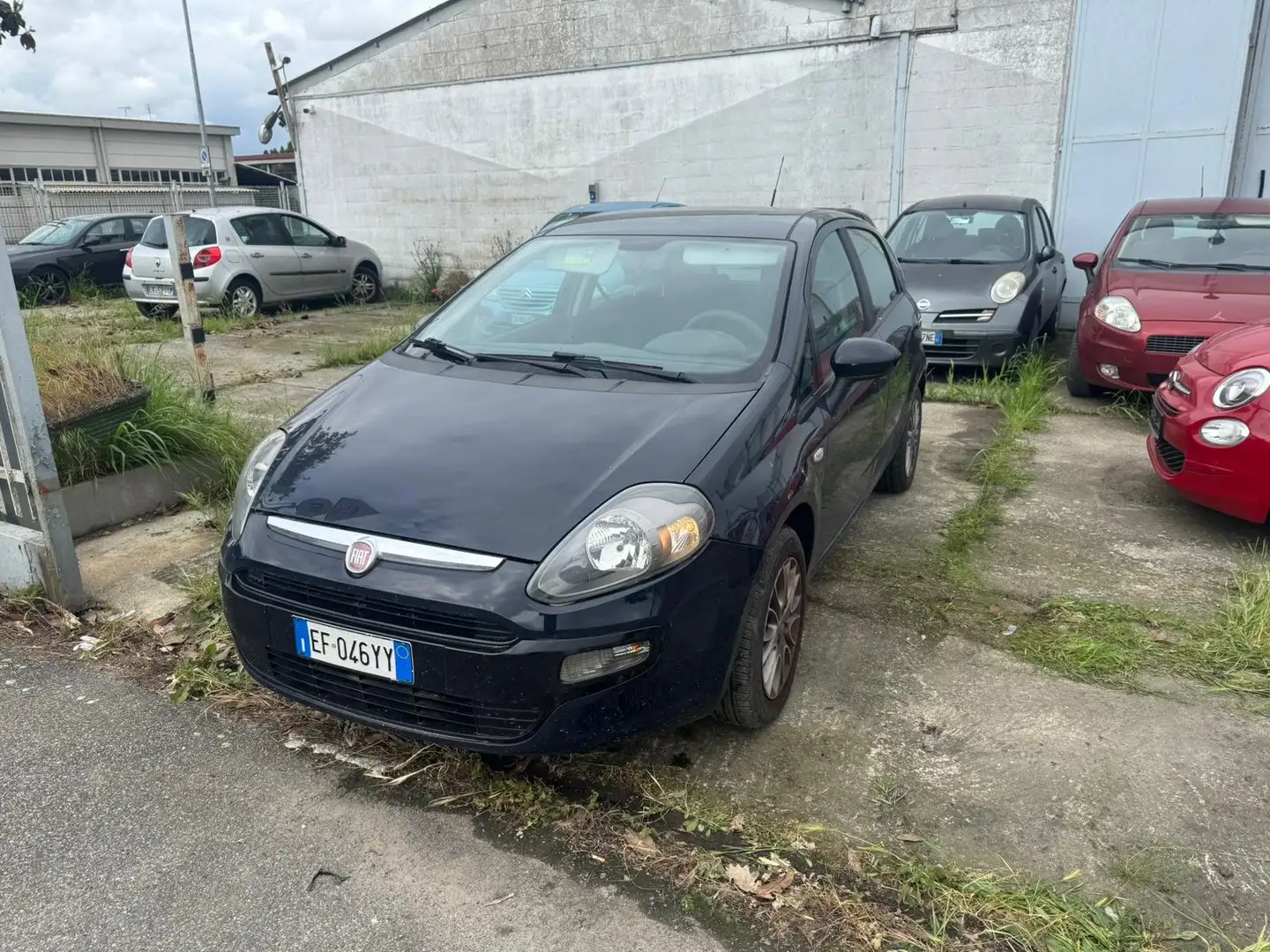 Fiat Punto Evo Punto Evo 5p 1.2 Dynamic s Black - 1