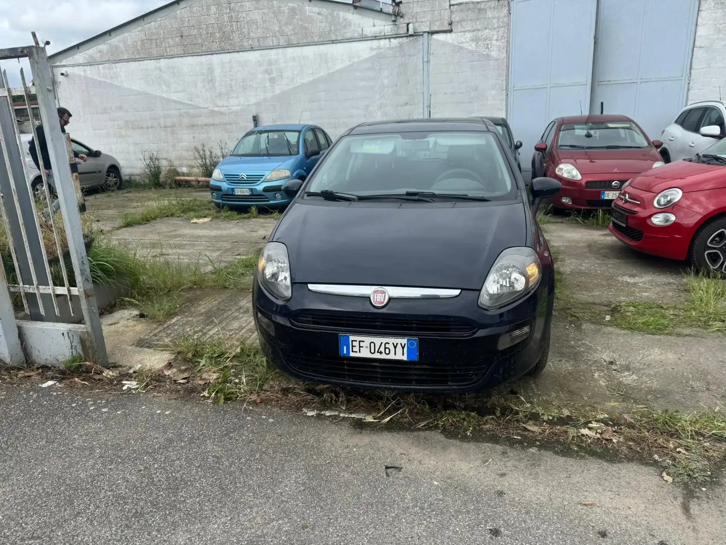Fiat Punto Evo Punto Evo 5p 1.2 Dynamic s Black - 2