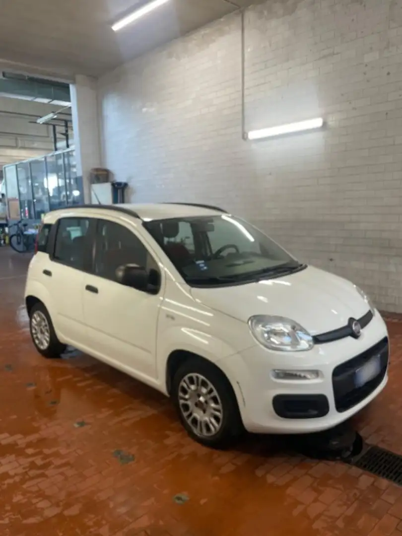 Fiat Panda 1.2 Easy Bianco - 1