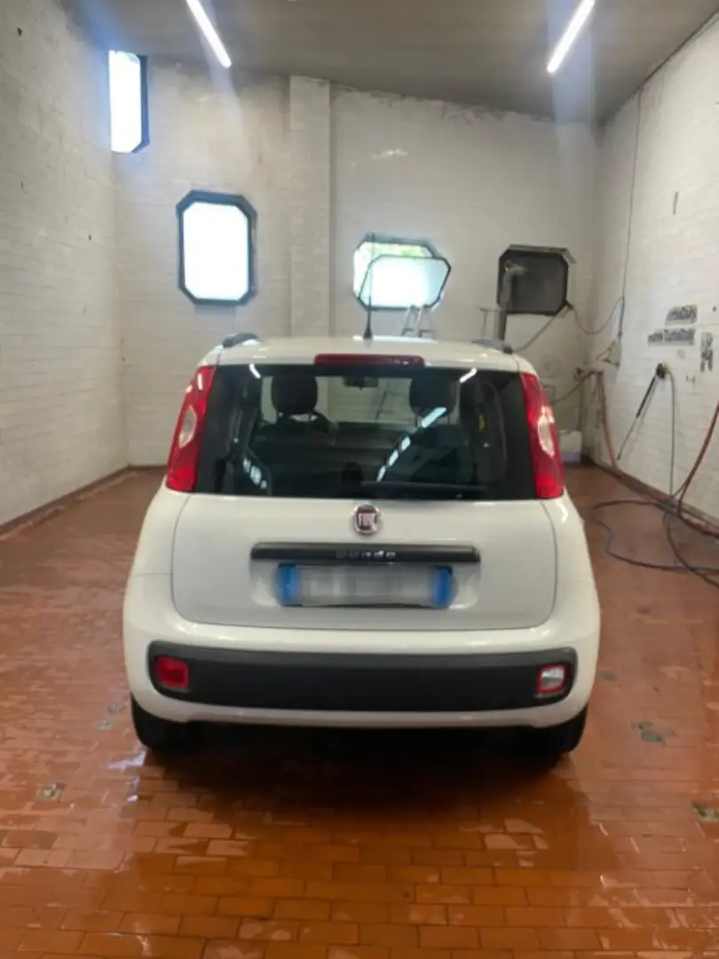Fiat Panda 1.2 Easy Bianco - 2