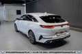 Kia ProCeed / pro_cee'd Proceed 1,6 TGDI GPF GT DCT Aut.*GARANTIE*SERVI... Weiß - thumbnail 8