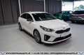 Kia ProCeed / pro_cee'd Proceed 1,6 TGDI GPF GT DCT Aut.*GARANTIE*SERVI... Weiß - thumbnail 4
