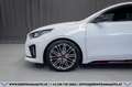 Kia ProCeed / pro_cee'd Proceed 1,6 TGDI GPF GT DCT Aut.*GARANTIE*SERVI... Weiß - thumbnail 7