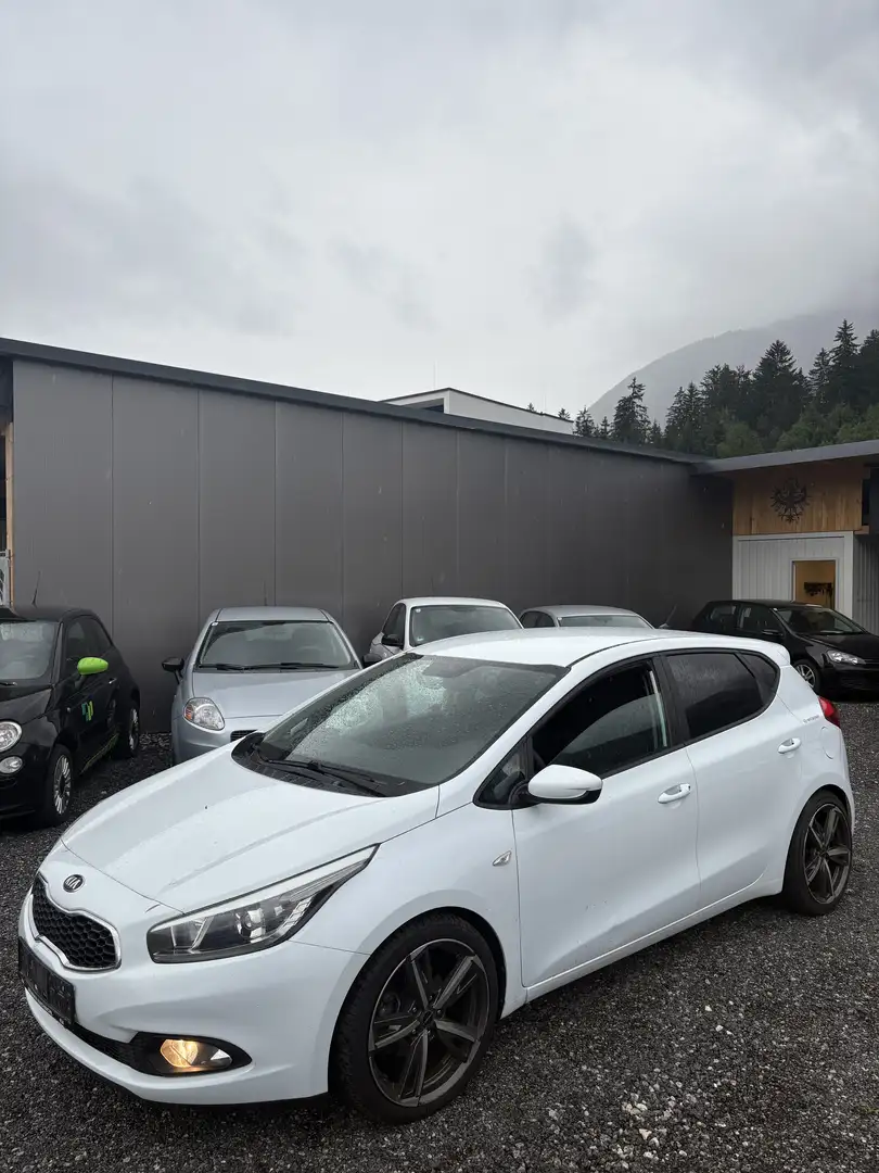 Kia Ceed / cee'd 1,4 CRDi Cool Weiß - 1