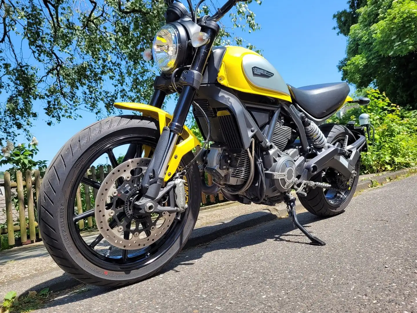 Ducati Scrambler 800 Icon žuta - 1