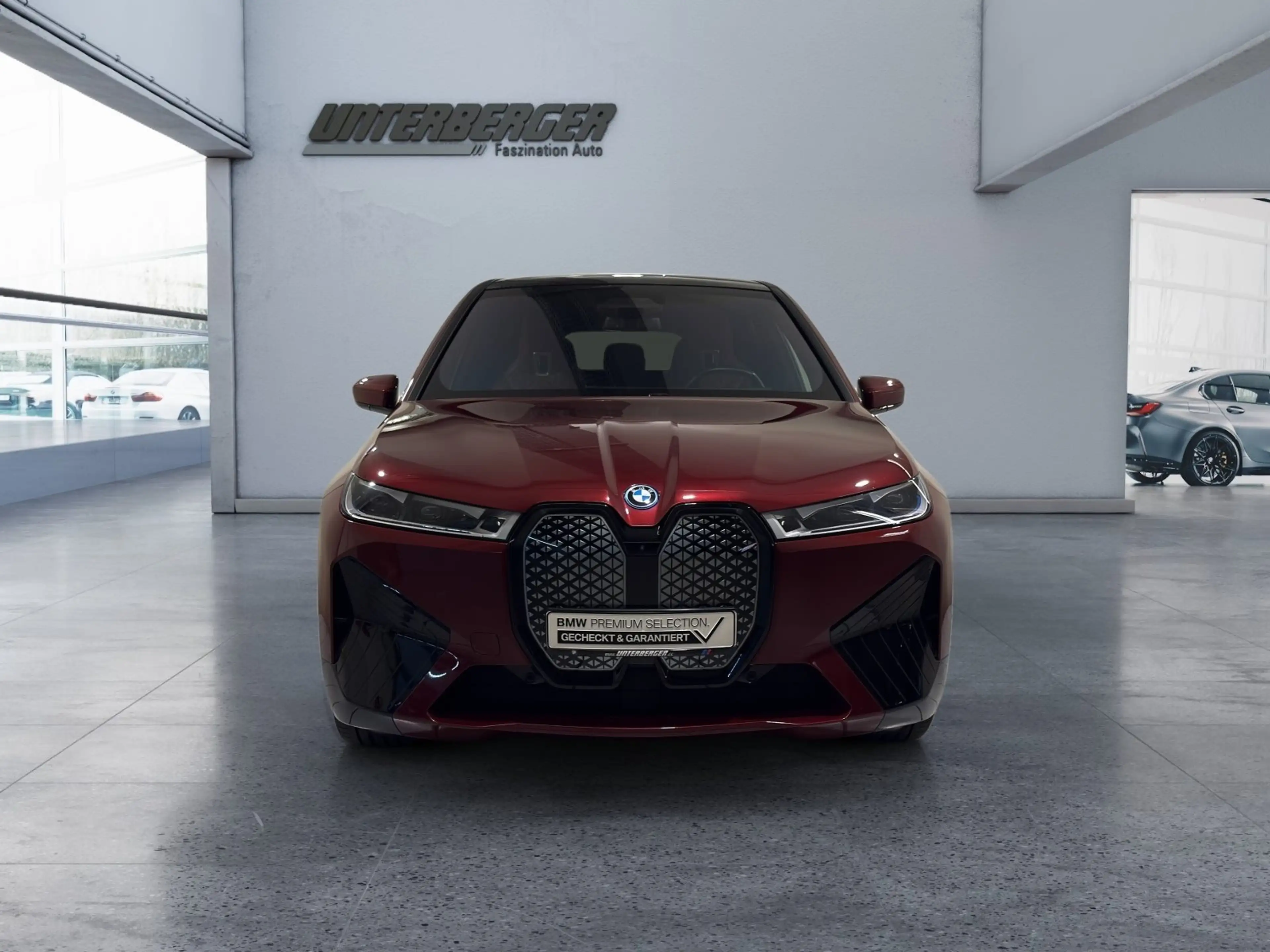 BMW iX xDrive40 Sportpaket ACC 360 HUD HK Pano Laser — photo 2