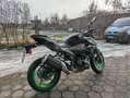 Kawasaki Z 500 SE Verde - thumbnail 7