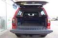 Ford Ranger Wildtrak DOKA Hardtop 3,99% FIN* AHK Rouge - thumbnail 11