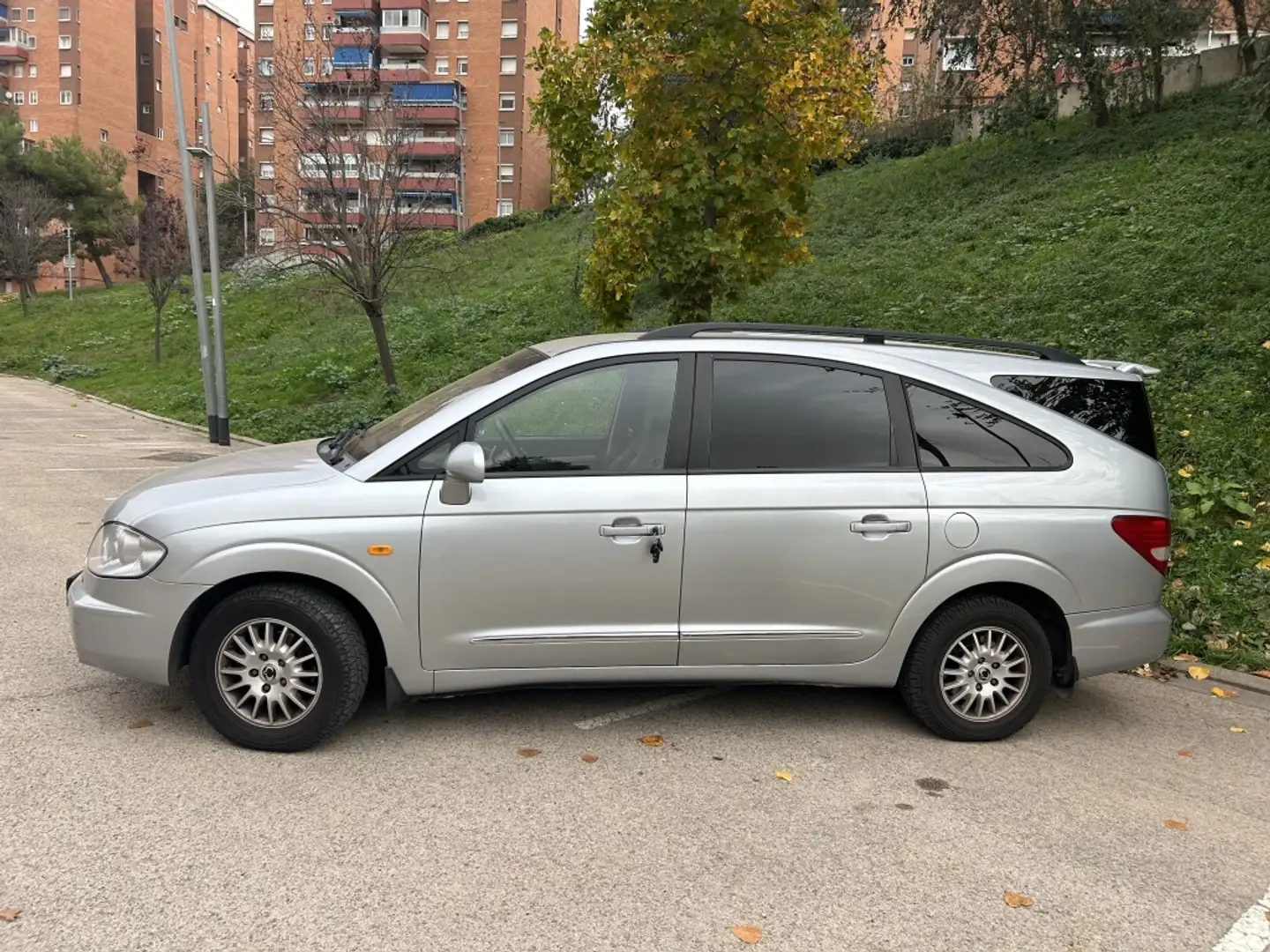 SsangYong Rodius 270 Xdi 165 Grijs - 2