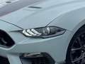 Ford Mustang Fastback 5.0 Ti-VCT V8 Aut. MACH1 Gris - thumbnail 19