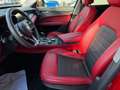 Alfa Romeo Stelvio B-Tech Q4 Rouge - thumbnail 10