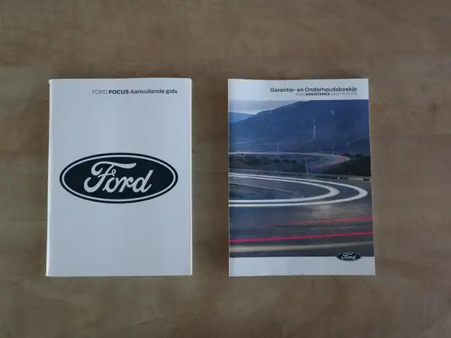 Ford Focus view 28