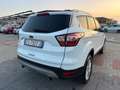 Ford Kuga Kuga 1.5 TDCI 120 CV S&S 2WD Business Wit - thumbnail 6