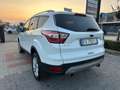 Ford Kuga Kuga 1.5 TDCI 120 CV S&S 2WD Business Wit - thumbnail 4