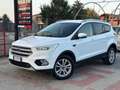 Ford Kuga Kuga 1.5 TDCI 120 CV S&S 2WD Business Wit - thumbnail 2