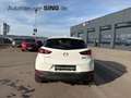 Mazda CX-3 Sports-Line Keyless Go HeadUP LED Totwinkel Weiß - thumbnail 4