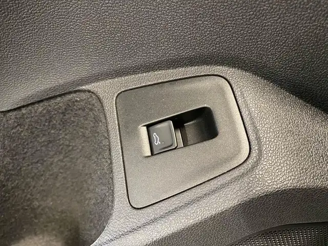 Volkswagen Tiguan view 18