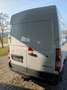 Renault Master L2H2 Kasten,AHK,Kamera Weiß - thumbnail 3