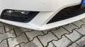SEAT Leon Reference Weiß - thumbnail 13