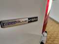 Ford Transit Custom 320 HYBRID-DIESEL 9 POSTI 2021 CC 2.0 Bianco - thumbnail 10