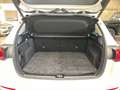 Mercedes-Benz B 180 Progressive Line Advanced, AHV Weiß - thumbnail 16