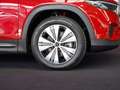 Mercedes-Benz EQB 250 EQB 250+ Progressive 7-Sitzer DAB Kamera Panoram Rot - thumbnail 2