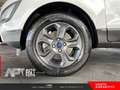 Ford EcoSport EcoSport 1.0 ecoboost Plus s&s 125cv Bianco - thumbnail 5