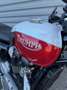 Triumph Bonneville T100 Alb - thumbnail 2