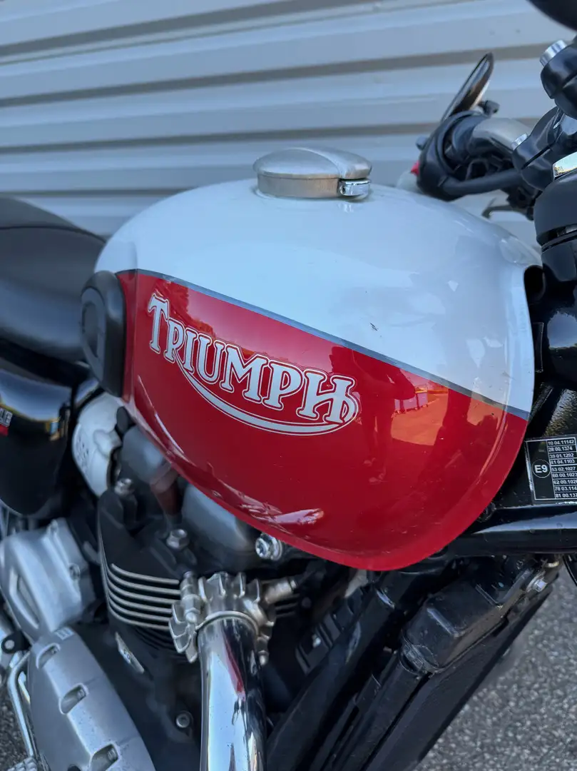 Triumph Bonneville T100 Alb - 2