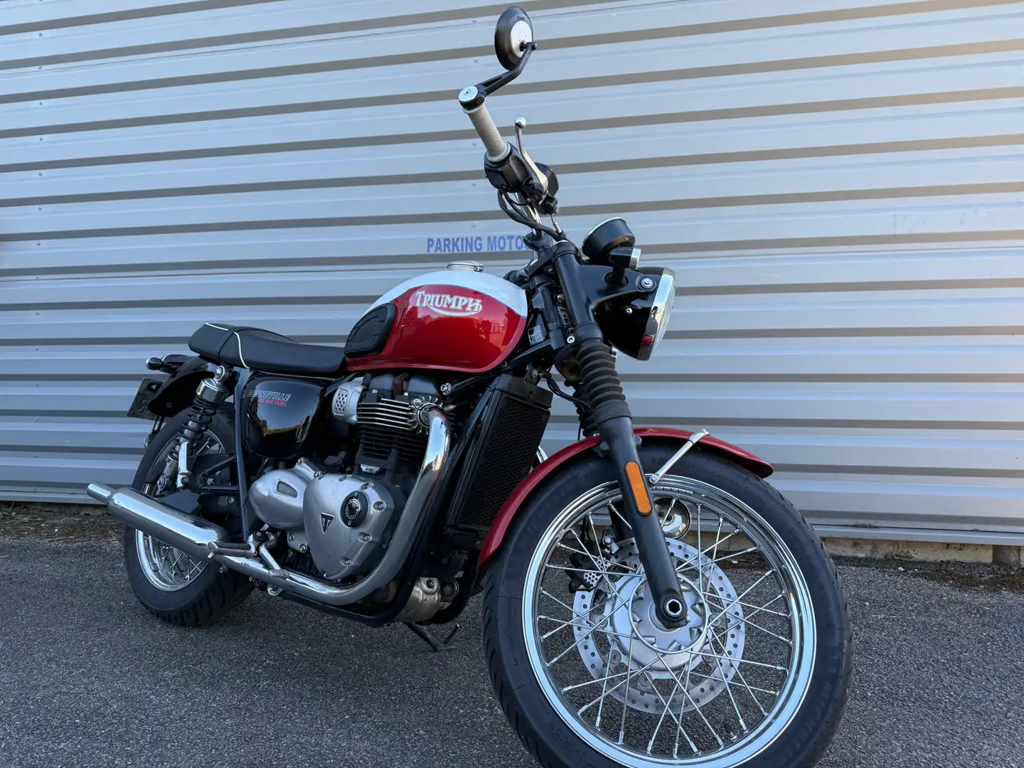 Triumph Bonneville T100 Alb - 1