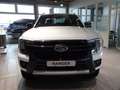 Ford Ranger 2.0 Ecoblue 4WD Doppelkabine Wildtrak e- AHK*NAV*i Blanc - thumbnail 19