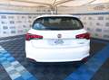 Fiat Tipo 1.6 Multijet II Mirror Blanc - thumbnail 13