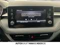 Skoda Fabia 1.0 TSI Tour ACC LED 50-L-TANK WINTER PLUS Grau - thumbnail 13
