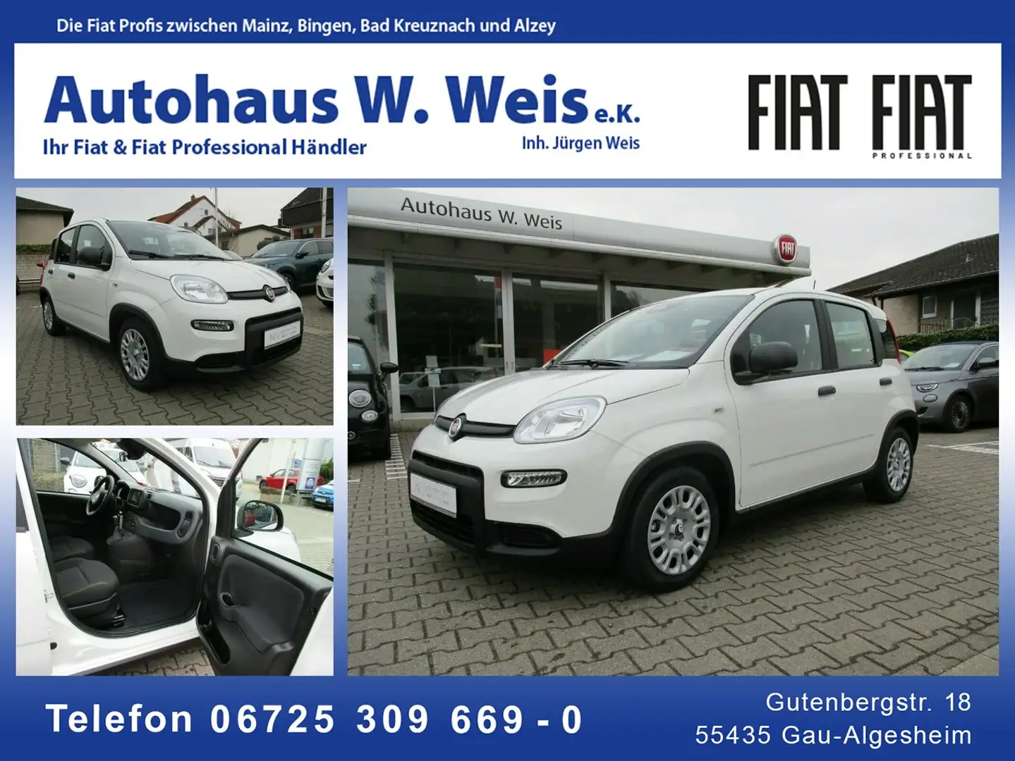 Fiat Panda 1,0 GSE Hybrid Blanc - 2