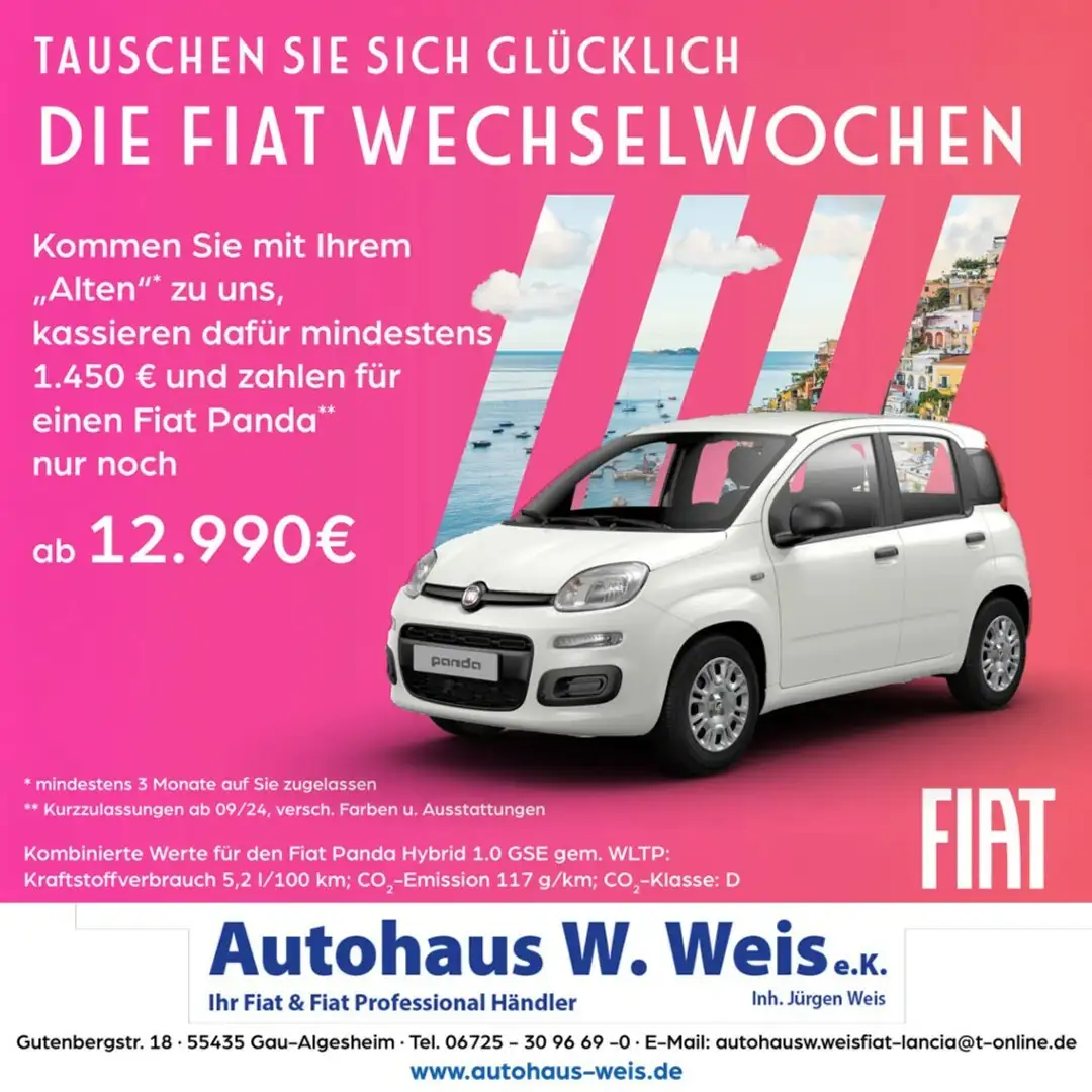 Fiat Panda 1,0 GSE Hybrid Blanc - 1