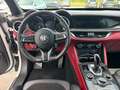 Alfa Romeo Stelvio Quadrifoglio Q4 Blanc - thumbnail 12