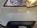 Subaru OUTBACK 2.0D CVT Exclusive|INTERNI IN PELLE|TETTO PANORAMI Weiß - thumbnail 34