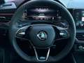 Skoda Kamiq 1.0TSI MONTE CARLO LED#ACC#SPUR#PANO#SHZ Silber - thumbnail 11