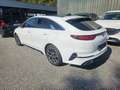 Kia ProCeed / pro_cee'd pro ceed 1,4 TGDI GPF GT-Line Weiß - thumbnail 3