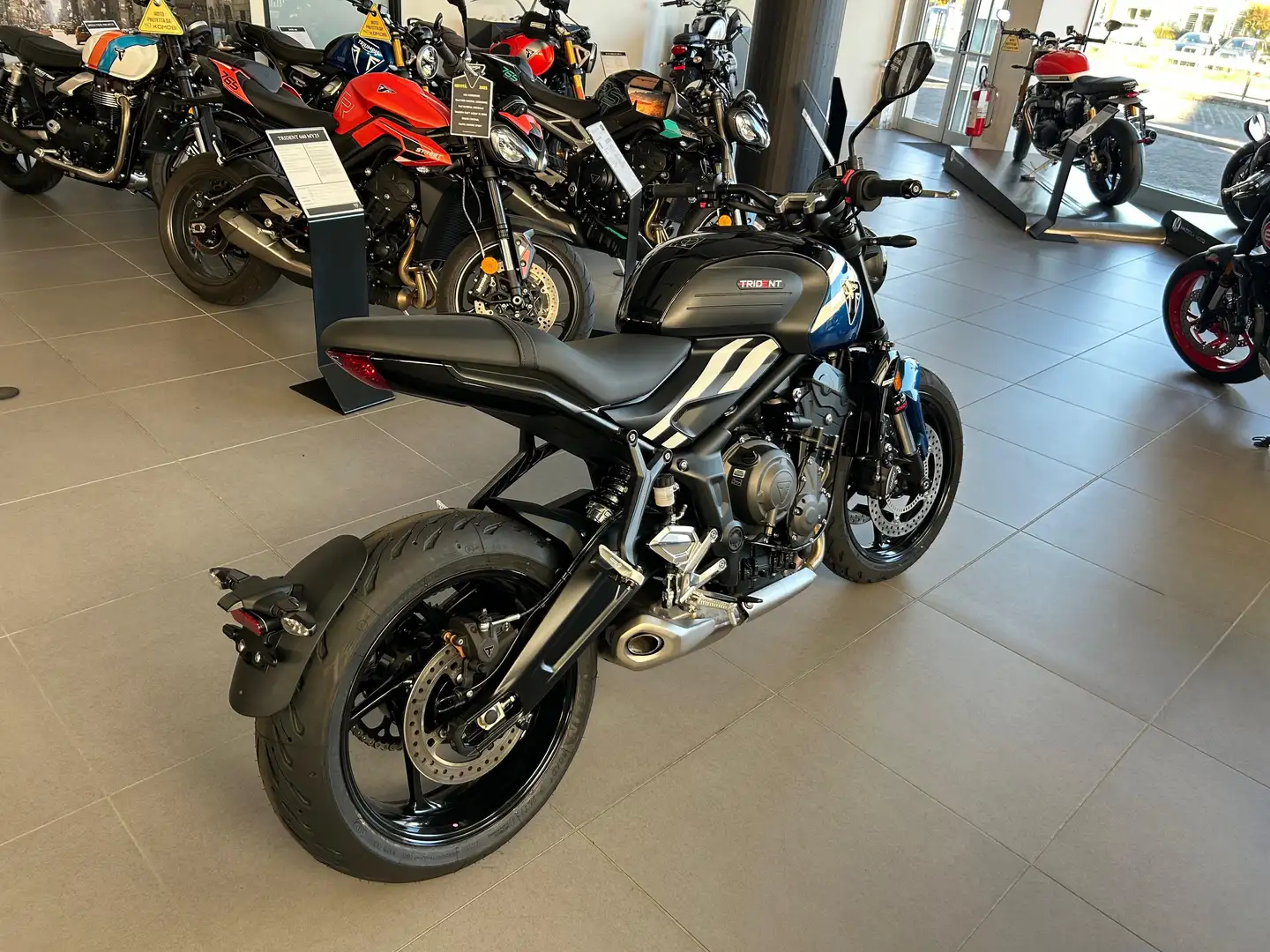 Triumph Trident 660 Blu/Azzurro - 2