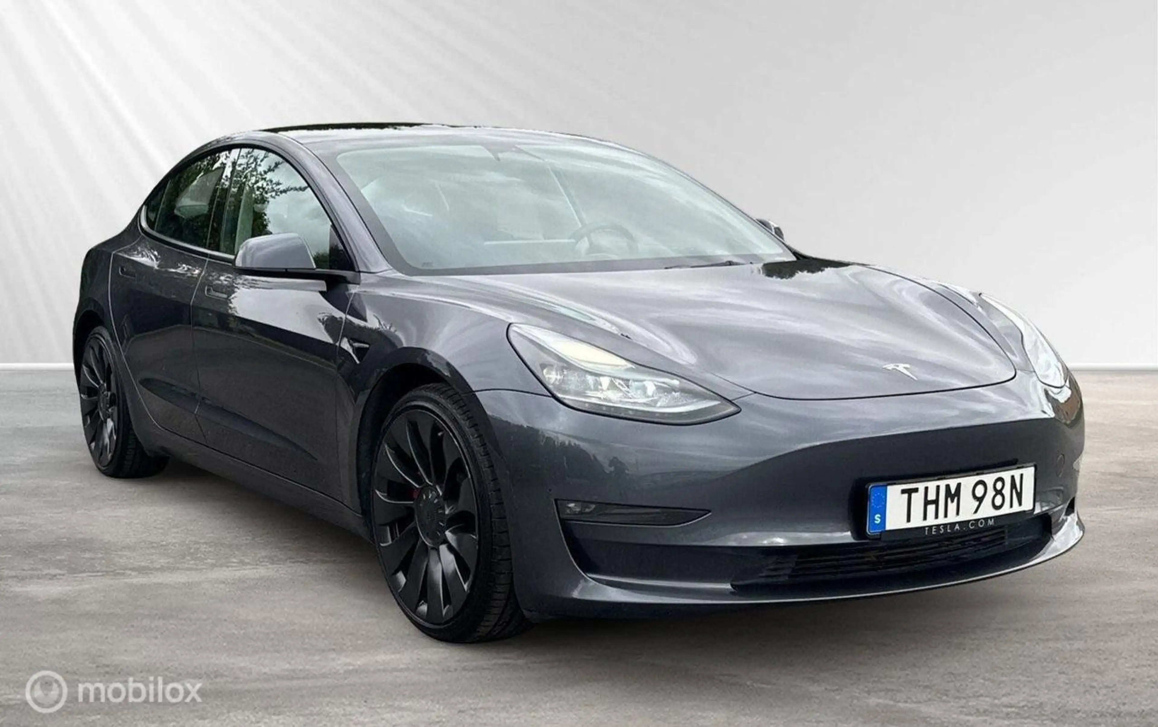 Tesla Model 3 Performance AWD 75 kWh — photo 8