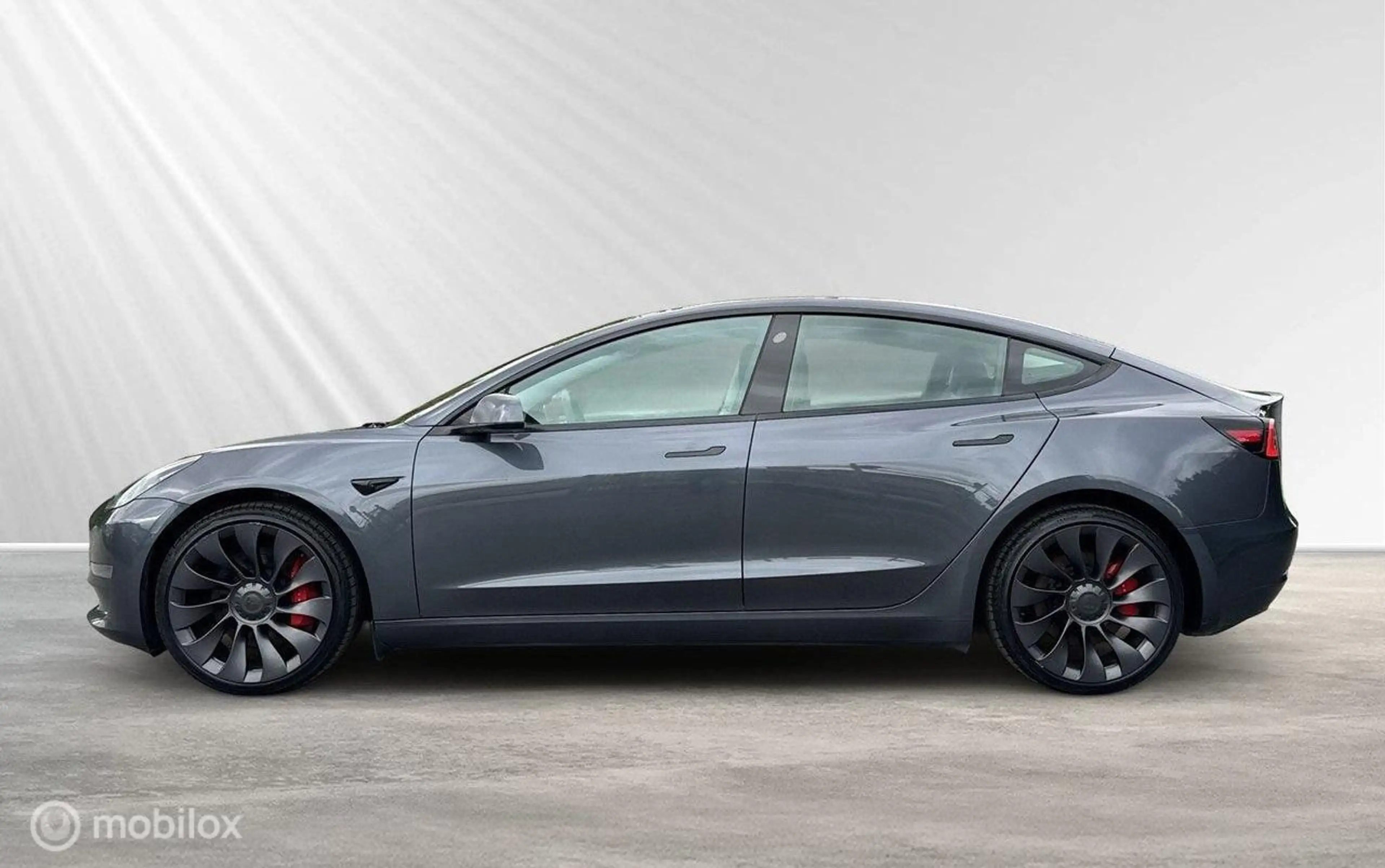 Tesla Model 3 Performance AWD 75 kWh — photo 4