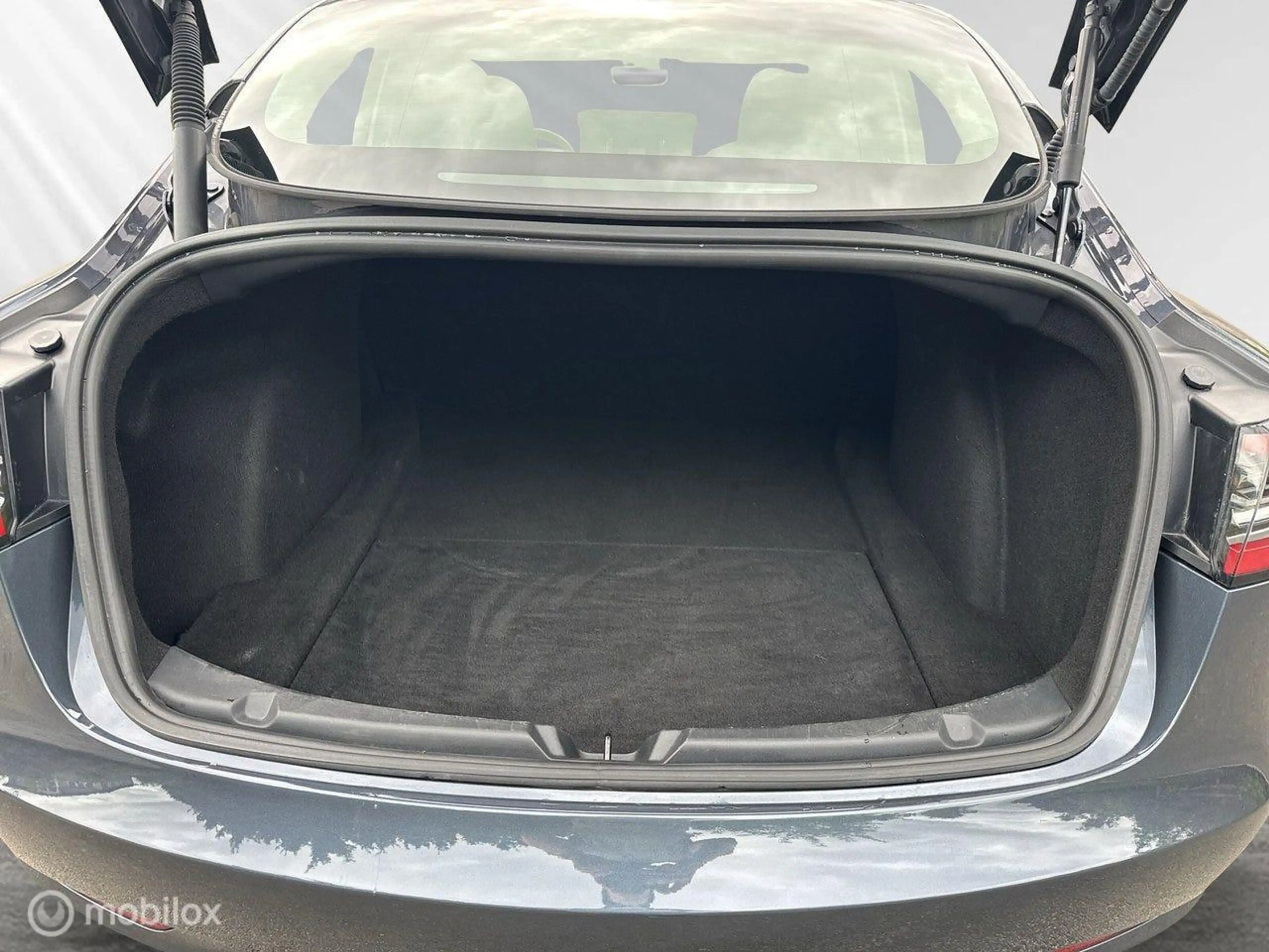 Tesla Model 3 Performance AWD 75 kWh — photo 26